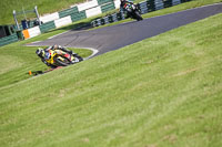 cadwell-no-limits-trackday;cadwell-park;cadwell-park-photographs;cadwell-trackday-photographs;enduro-digital-images;event-digital-images;eventdigitalimages;no-limits-trackdays;peter-wileman-photography;racing-digital-images;trackday-digital-images;trackday-photos